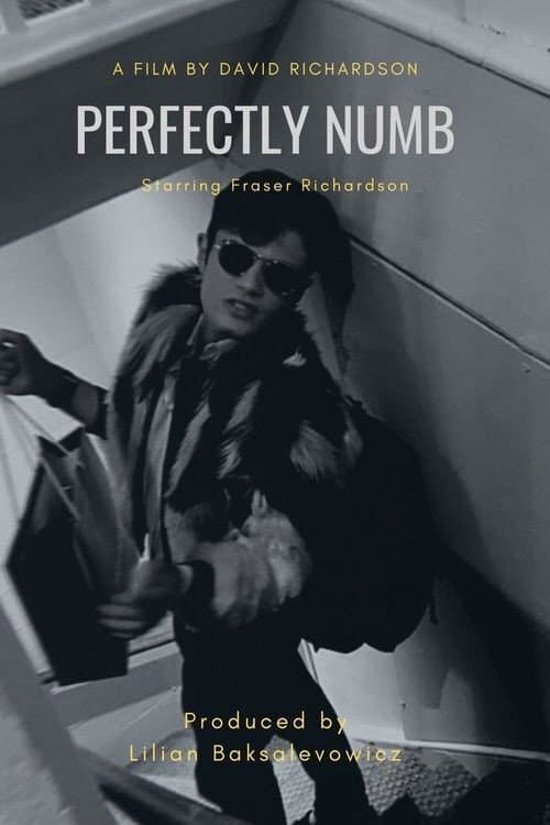 Poster for Perfectly Numb