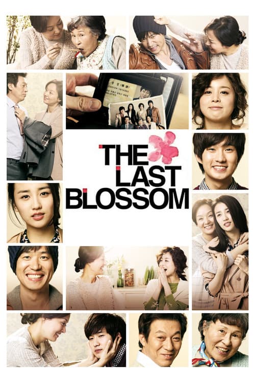 Poster for The Last Blossom