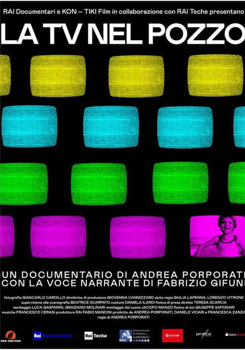 Poster for La tv nel pozzo