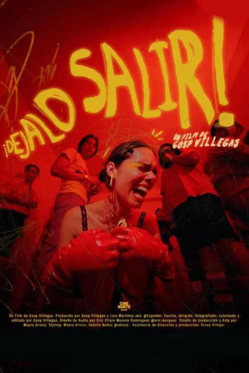 Poster for Déjalo Salir