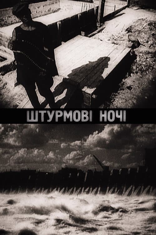 Poster for Night Raids