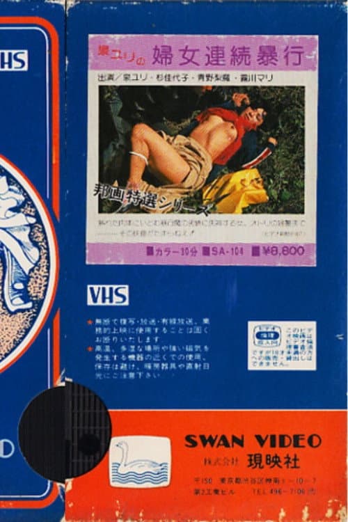 Poster for Fujo Renzoku Boukou