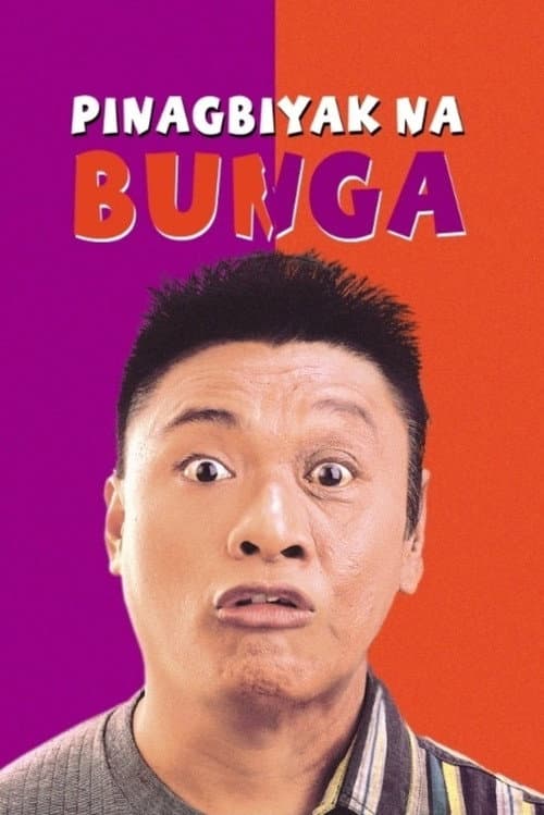 Poster for Pinagbiyak Na Bunga: Lookalayk