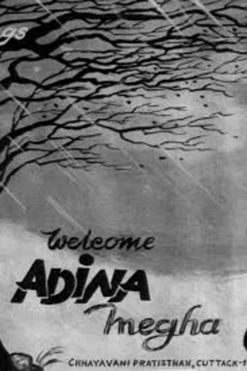 Poster for Adina Megha