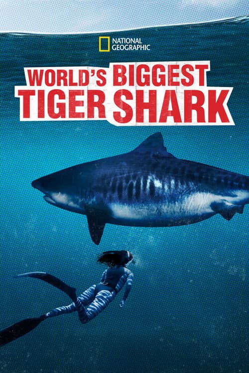 Poster for World's Biggest Tiger Shark