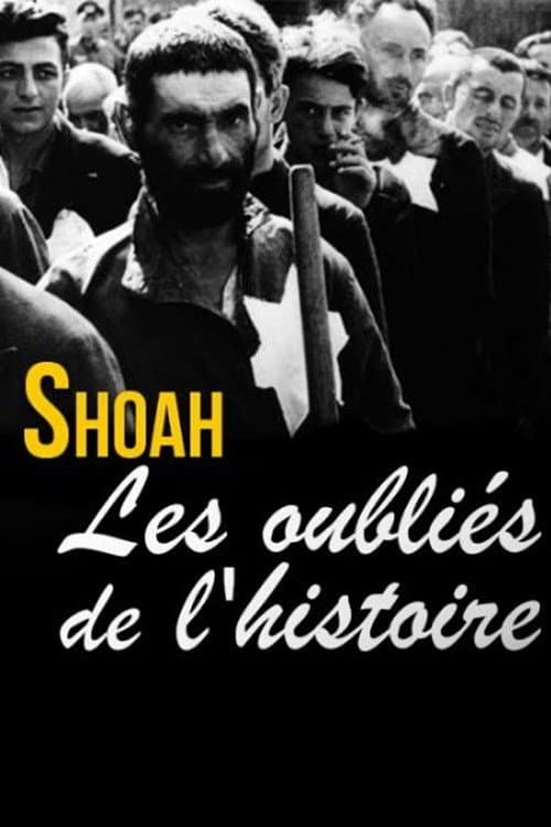 Poster for Shoah, les oubliés de l'histoire