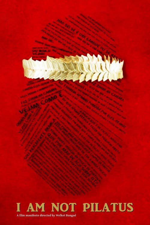 Poster for I Am Not Pilatus