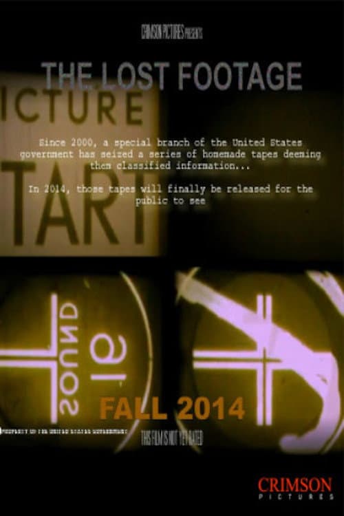 Poster for The Lost Footage