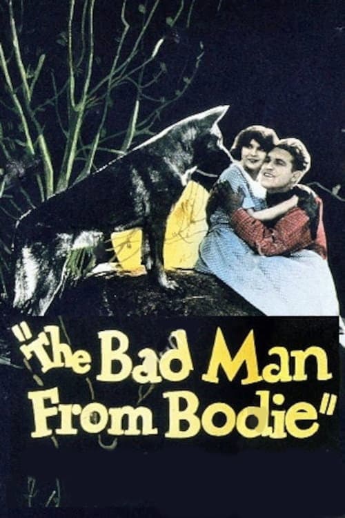 Poster for Bad Man from Bodie
