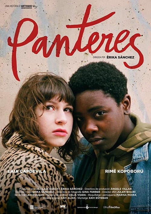 Poster for Panthers