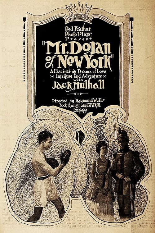 Poster for Mr. Dolan of New York