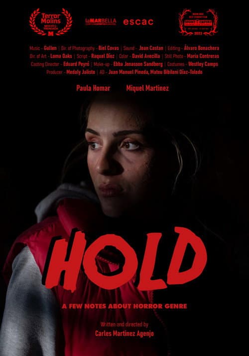 Poster for Hold