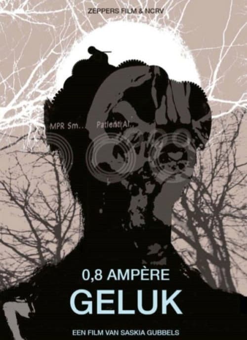 Poster for 0.8 Amps of Happiness