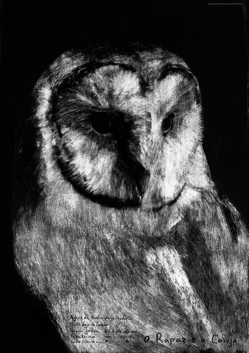 Poster for The Boy and the Owl