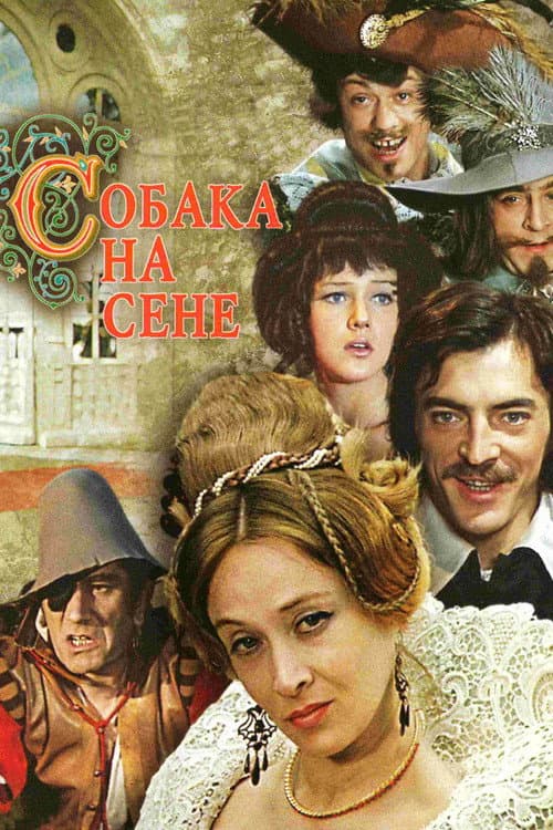 Постер до фільму «Собака на сіні»