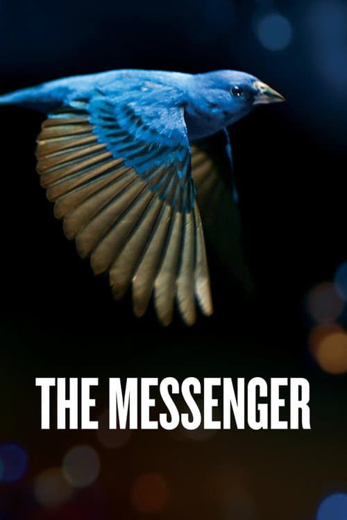 Poster for The Messenger