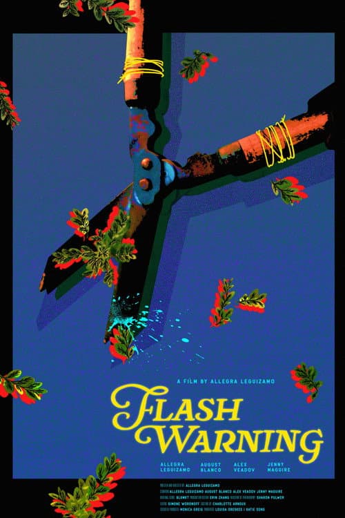 Poster for Flash Warning