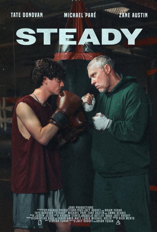 Poster for Steady