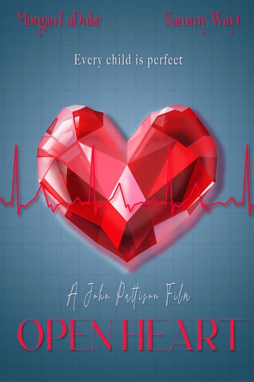 Poster for Open Heart