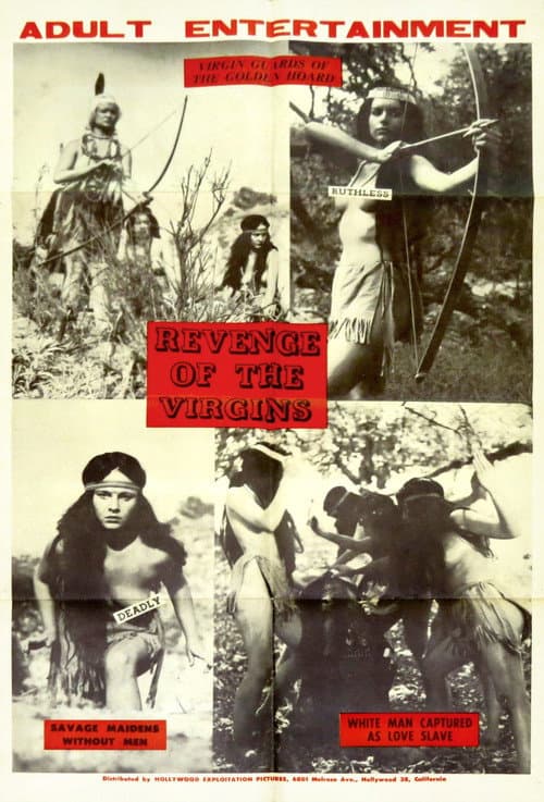 Poster for Revenge of the Virgins