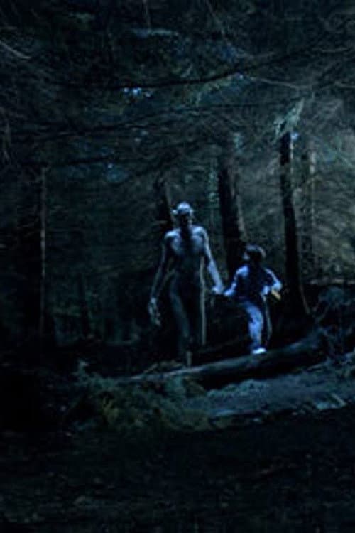 Poster for Ordan's Forest