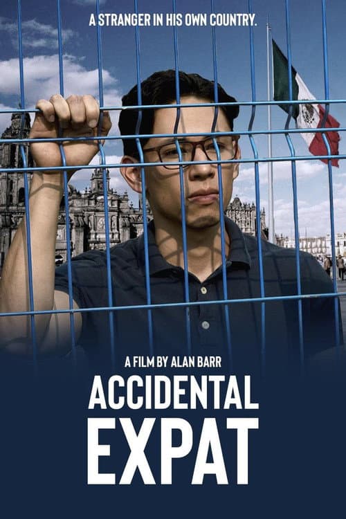 Poster for Accidental Expat
