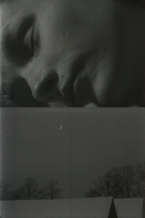 Poster for Daybreak and Whiteye