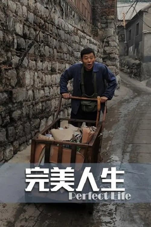 Poster for 完美人生