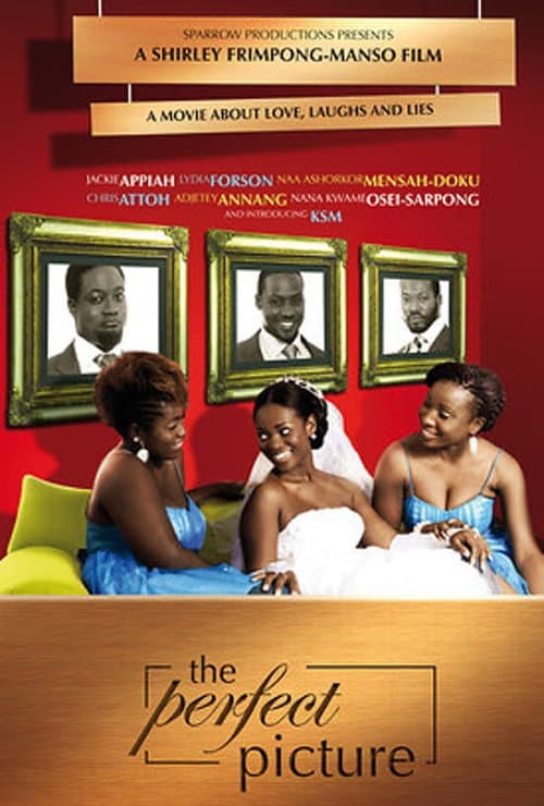 Poster for The Perfect Picture