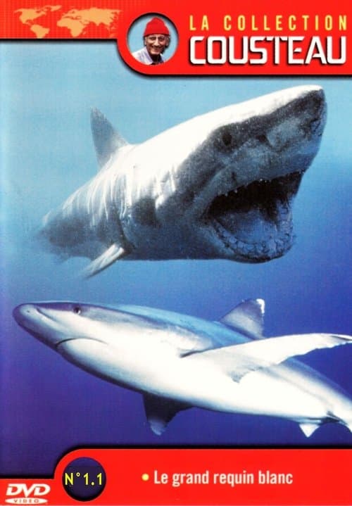Постер до фільму «La Collection Cousteau N° 1-1 | Le Grand Requin Blanc»
