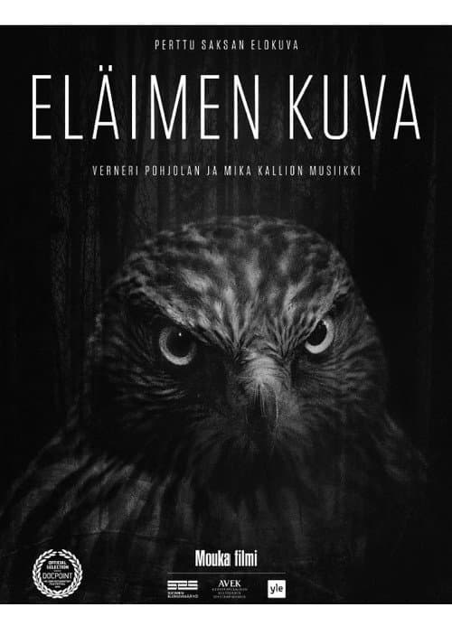Poster for Animal Image