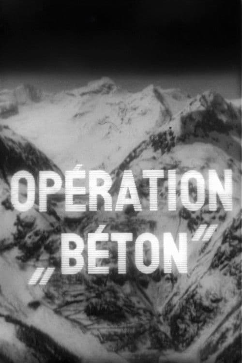 Poster for Operation Concrete