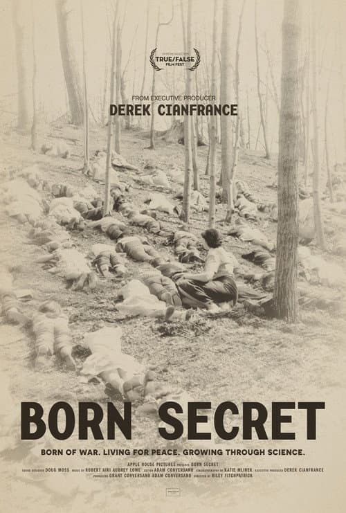 Poster for Born Secret
