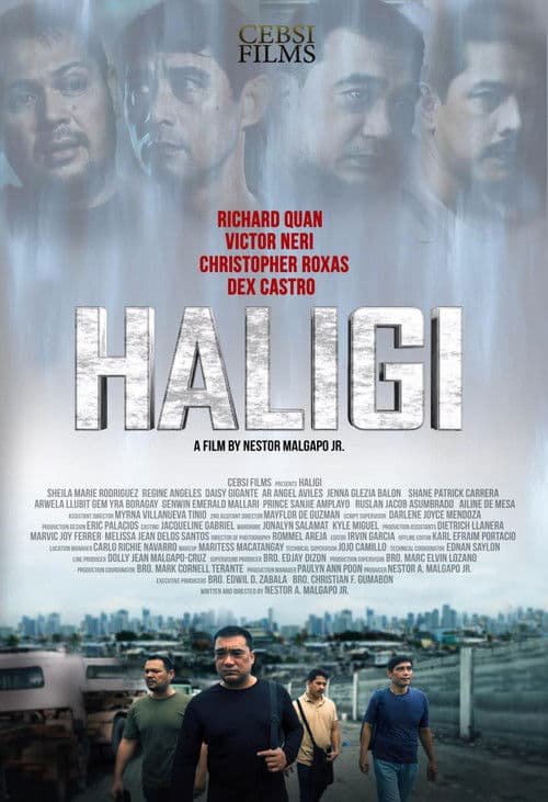 Poster for Haligi