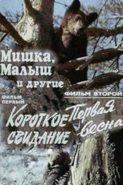 Poster for Little Bear, Baby and Others