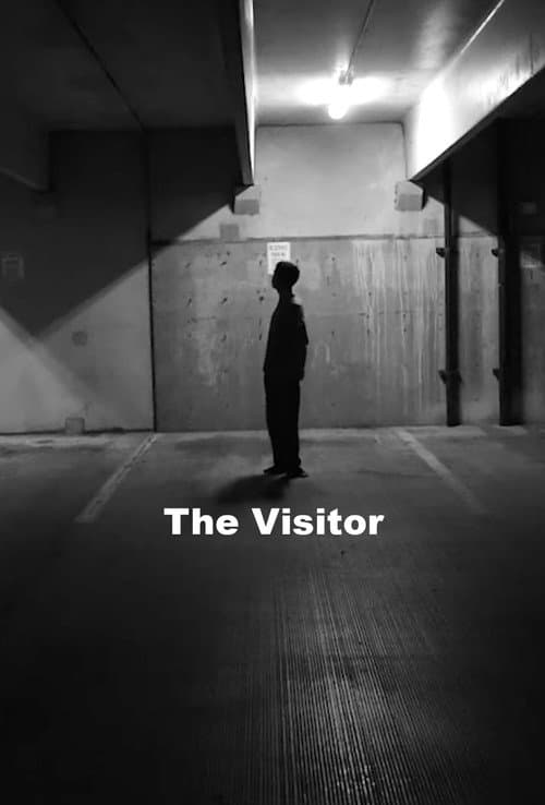 Poster for The Visitor