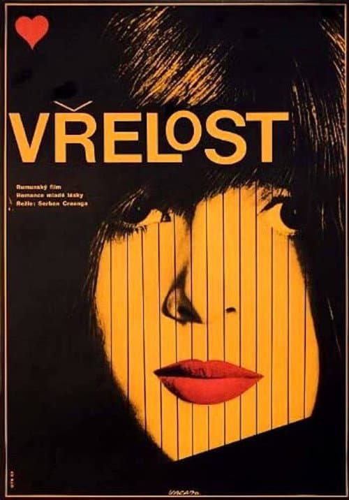Poster for The Heat