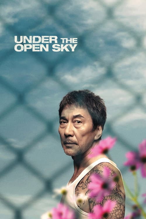 Poster for Under the Open Sky