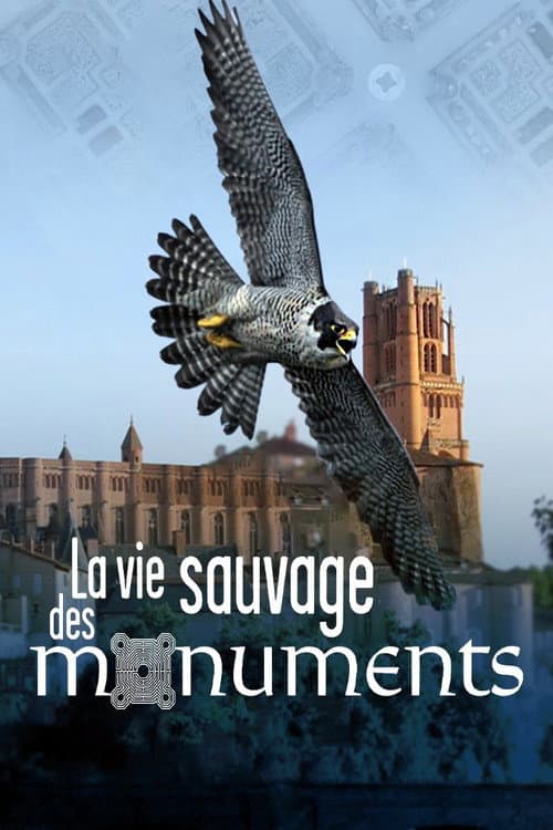 Poster for La Vie sauvage des monuments