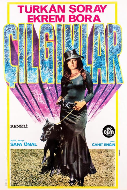 Poster for Crazy People