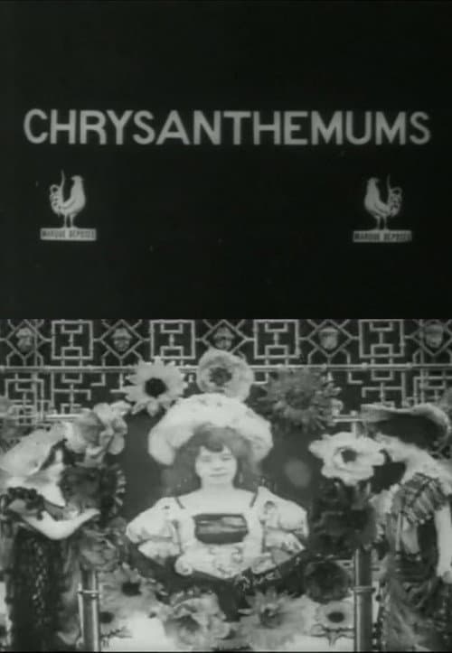 Poster for Chrysanthemums