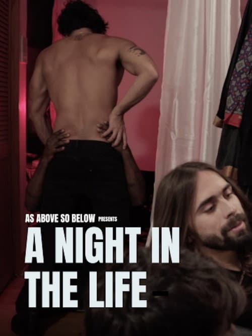 Poster for A Night in the Life