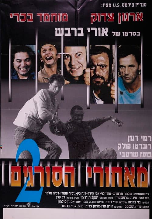 Poster for Beyond the Walls II