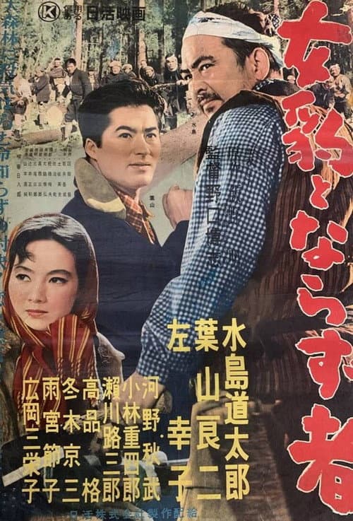 Poster for Mehyō to Narazu Mono