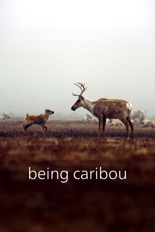 Poster for Being Caribou