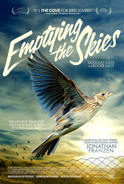 Poster for Emptying the Skies