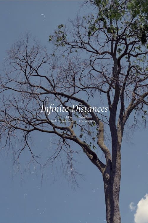 Poster for Infinite Distances