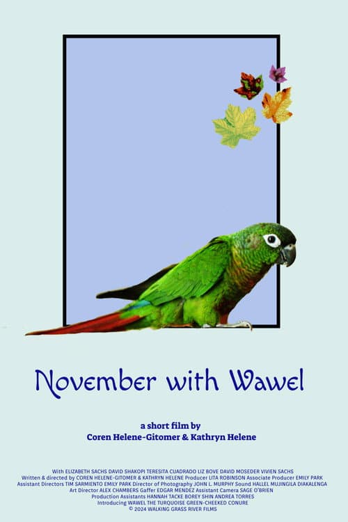 Poster for November with Wawel
