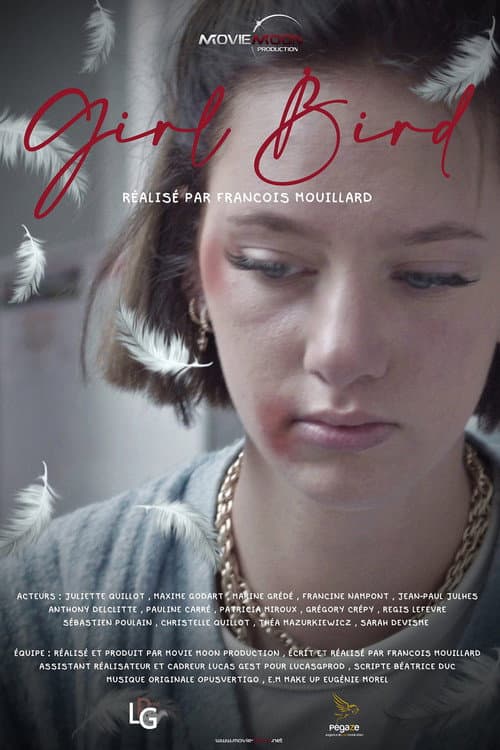 Poster for Girl Bird