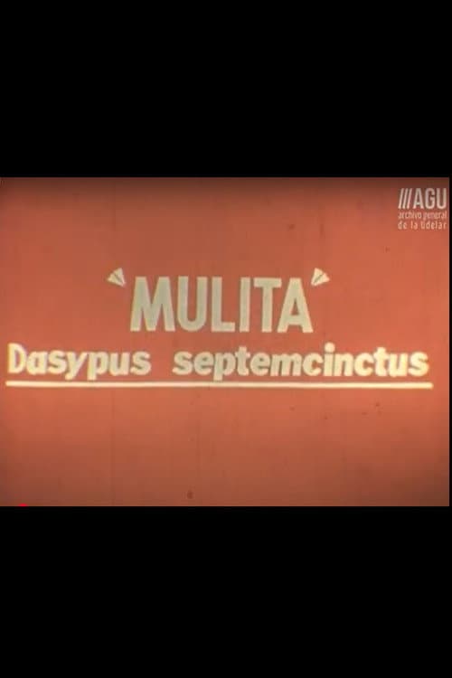 Poster for Fauna Sudamericana N°8: Mulita